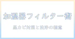 加湿器のフィルター選びと黒カビ対策、ハイターの使い方まで徹底解説する記事