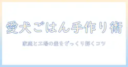 ドッグフードの作り方と工場での製造工程を解説する初心者向けガイド
