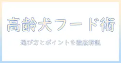 シニア犬のためのドッグフードとドクターズダイエットを徹底解説|選び方とポイント