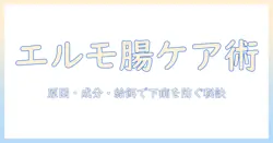 エルモのキャットフードで下痢を防ぐ方法と選び方|猫の健康を守るためのポイント