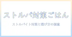 キャットフード選びの基本とストルバイト対策のケアにおすすめの商品まとめ