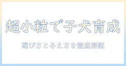 ドッグフードの超小粒タイプは子犬に合う?選び方と与え方のポイント
