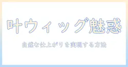 叶ウィッグとスワローテイルの魅力を徹底解説:自然な仕上がりを実現する選び方
