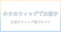 お団子ヘアを実現するコスプレ用ウィッグの選び方 小さめサイズを中心に徹底解説