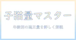 子猫のキャットフードの量を正しく知るための基本ガイド