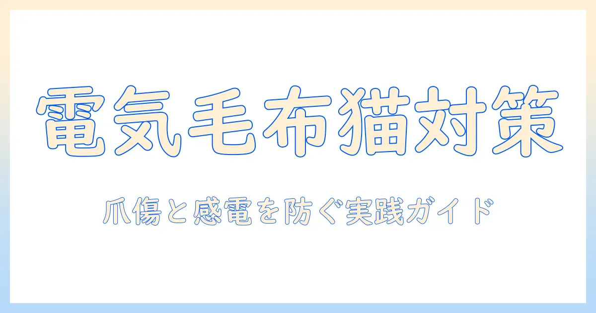 電気毛布と猫の爪を守る安全ガイド:猫を飼う家庭での使い方と注意点