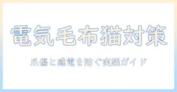 電気毛布と猫の爪を守る安全ガイド：猫を飼う家庭での使い方と注意点