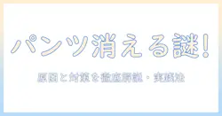 洗濯機でパンツがなくなる原因と対策：なくならないようにするコツ
