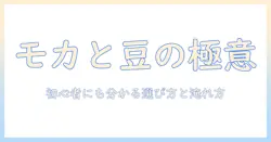 コーヒーの豆とモカの特徴を徹底解説：初心者でも分かるコーヒーの選び方と淹れ方