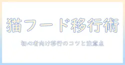 キャットフードの変更を成功させるコツと注意点:初心者でも実践できる移行ガイド
