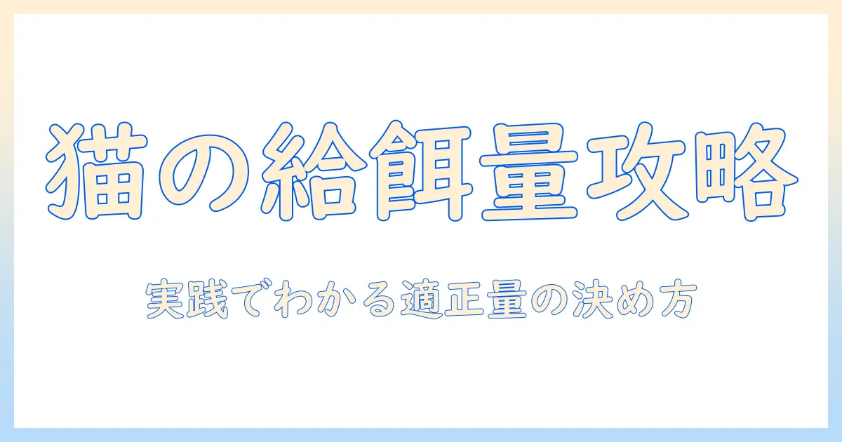 キャットフードの量の計算はどうする?猫の適正給餌量を決めるための実践ガイド
