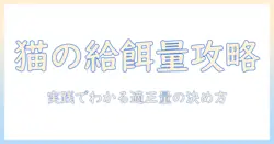 キャットフードの量の計算はどうする？猫の適正給餌量を決めるための実践ガイド