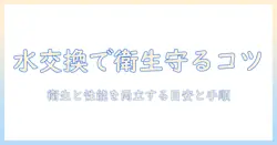 加湿器の水の交換頻度はどれくらい？衛生と性能を守るための目安とポイント