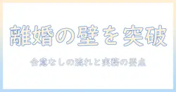 離婚と合意しない場合の手続きガイド：合意が得られないときの流れとポイント