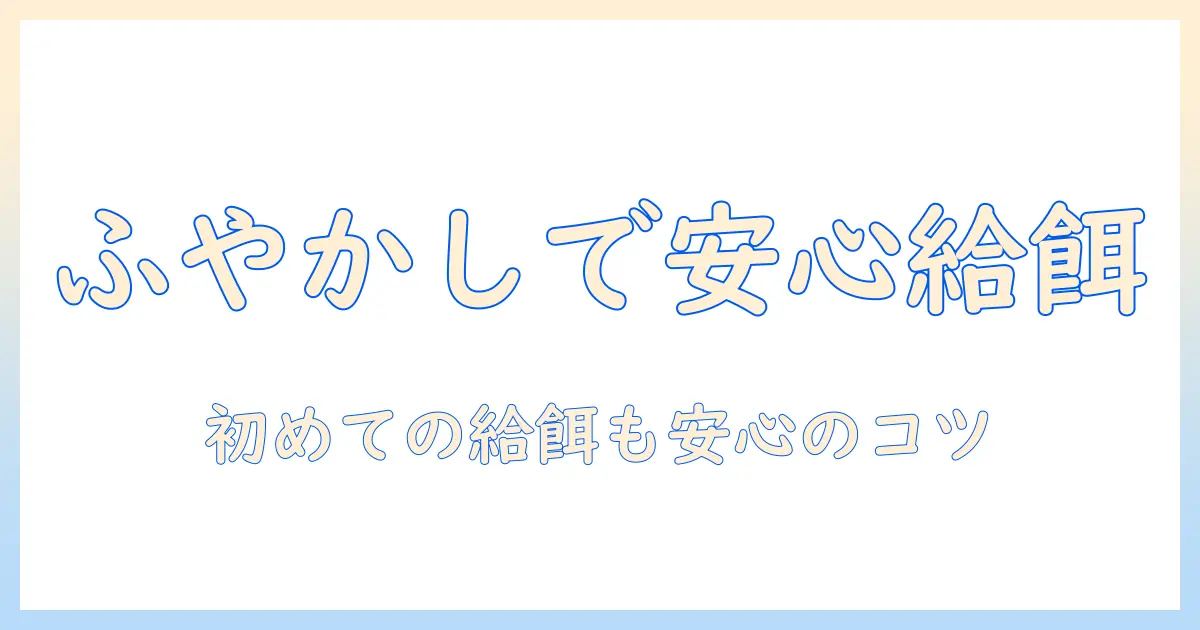 子猫のキャットフードのふやかし方を解説—初めての給餌でも安心なコツと注意点