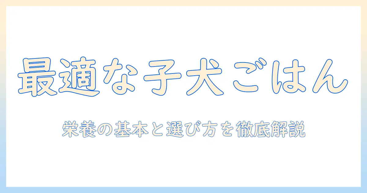 子犬におすすめのドッグフードを選ぶときのポイント|初めての飼い主さん向け