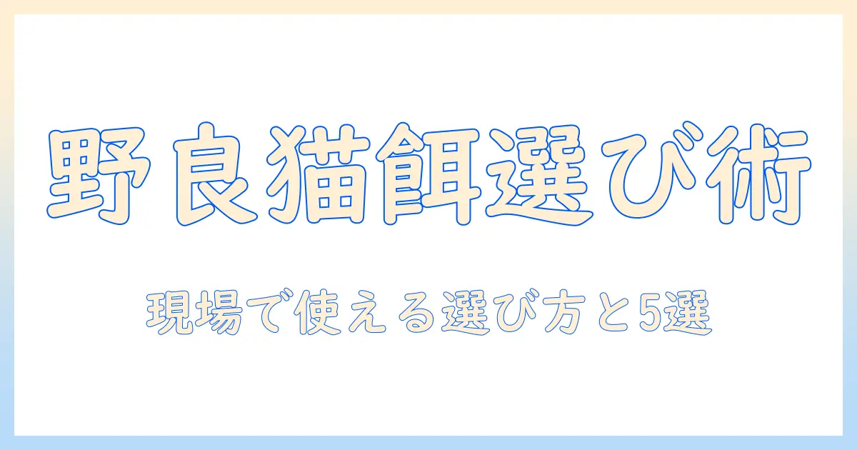 野良猫におすすめのキャットフードを徹底解説:選び方のポイントとおすすめ商品5選