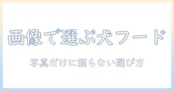 ドッグフードの画像で選ぶときのポイントと比較ガイド