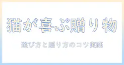 ユニ チャームのキャットフードをプレゼントにする時の選び方とおすすめ