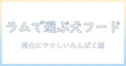 ドッグフードにラムを採用するメリットとは?ラム肉の特徴と選び方・安全性を徹底解説