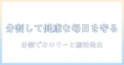 キャットフードを割るときのコツと注意点｜分割与えで愛猫の健康を守る方法