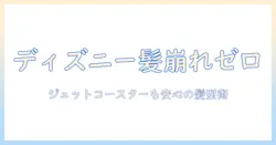 ウィッグでディズニーを満喫!ジェットコースターでも崩れない髪型と選び方
