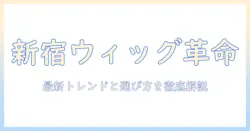 新宿でウィッグを楽しむファッション術|最新トレンドと選び方ガイド