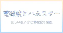 ハムスターと電気毛布の安全性を徹底解説：電磁波の影響と正しい使い方