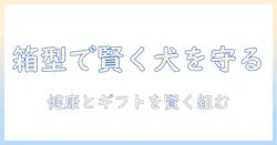 ドッグフードとハグの新潮流を読み解く！ボックス型パッケージで賢く選ぶ犬の健康とギフト活用術
