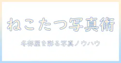 ね こたつ 画像で見る冬の部屋づくり:初心者ブロガーのための写真の選び方と活用術