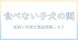 子犬がドッグフードを食べないわがままを解消する方法：原因と対策、正しい選び方と食いつき改善のコツ