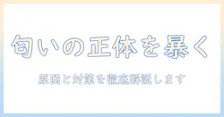 キャットフードはなぜ臭いのか?原因と対策を徹底解説