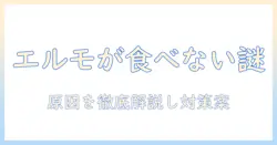 elmoがキャットフードを食べない原因と対策
