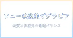sonyのテレビでグラビアを楽しむための映像美と選び方