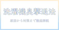 洗濯機から下水の匂いが上がってくる原因と対処法を徹底解説