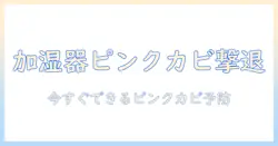 加湿器のピンクカビが害をもたらす理由と対策—家庭で実践できる予防と除去ガイド