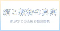 キャットフードととうもろこしの関係を解説:猫に合う選び方と成分の安全性