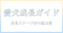 ドッグフードと離乳食の選び方と与え方：愛犬の成長段階をサポートする実践ガイド