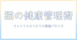 キャットフードとモジュールで実践する猫の健康管理ガイド