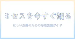 テレビで観るミセスをサブスクで楽しむ方法：主婦のためのテレビ視聴ガイド