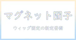 ウィッグで作るお団子ヘアをマグネットで固定する方法