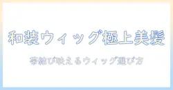 和装にぴったりのまとめ髪ウィッグ活用術：美しく決めるコツと選び方