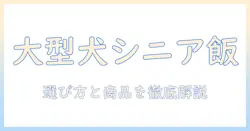 大型犬のシニアにおすすめのドッグフードを徹底解説:選び方とおすすめ商品