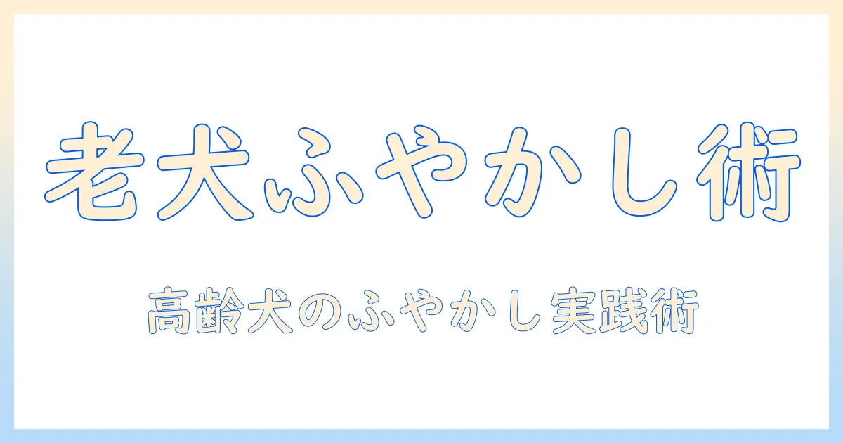 老犬のためのドッグフードをふやかす方法とポイント