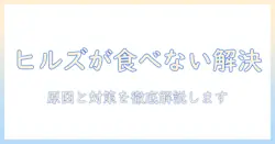ヒルズのキャットフードが食べないときの対策｜猫が食べない原因と解決策