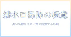 マンションの洗濯機 排水口 掃除 方法とトラブル回避で快適に過ごす生活ガイド
