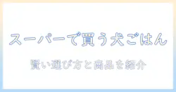 ドッグフードはスーパーで買えるのか？スーパーで買えるドッグフードの賢い選び方とおすすめ商品