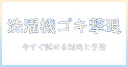 洗濯機にゴキブリが入った!今すぐ試したい対処法と予防策