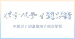 キャットフードの選び方とボナペティの特徴を解説するブログ