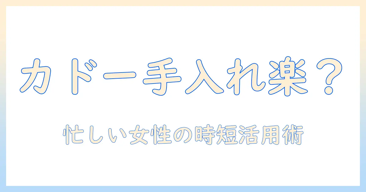 カドーの加湿器は本当にお手入れ不要?忙しい女性の会社員のための使い方と選び方